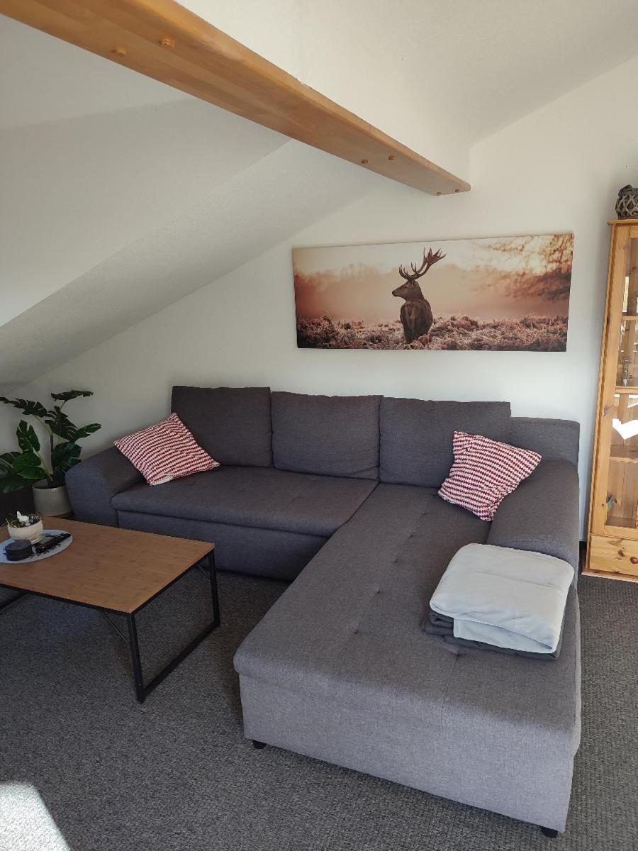 Ferienwohnung Schmidt Bayerisch Eisenstein Kültér fotó